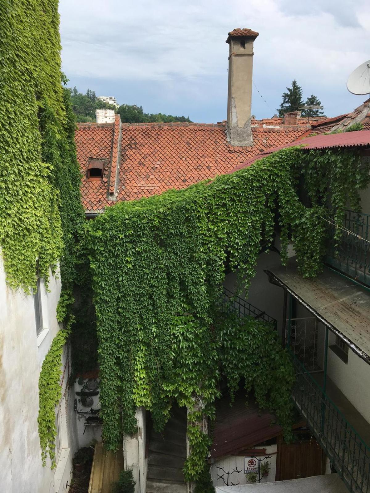 Castel Residence 브라쇼브 외부 사진